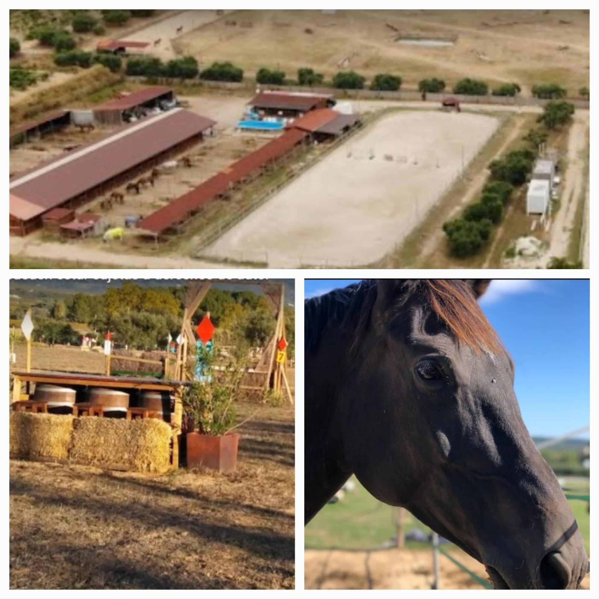 Casa Cal Tofol Villa Font-Rubi Dış mekan fotoğraf